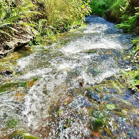 아파트호텔 Rezidence Greenhill ⃰ ⃰ ⃰ 3*